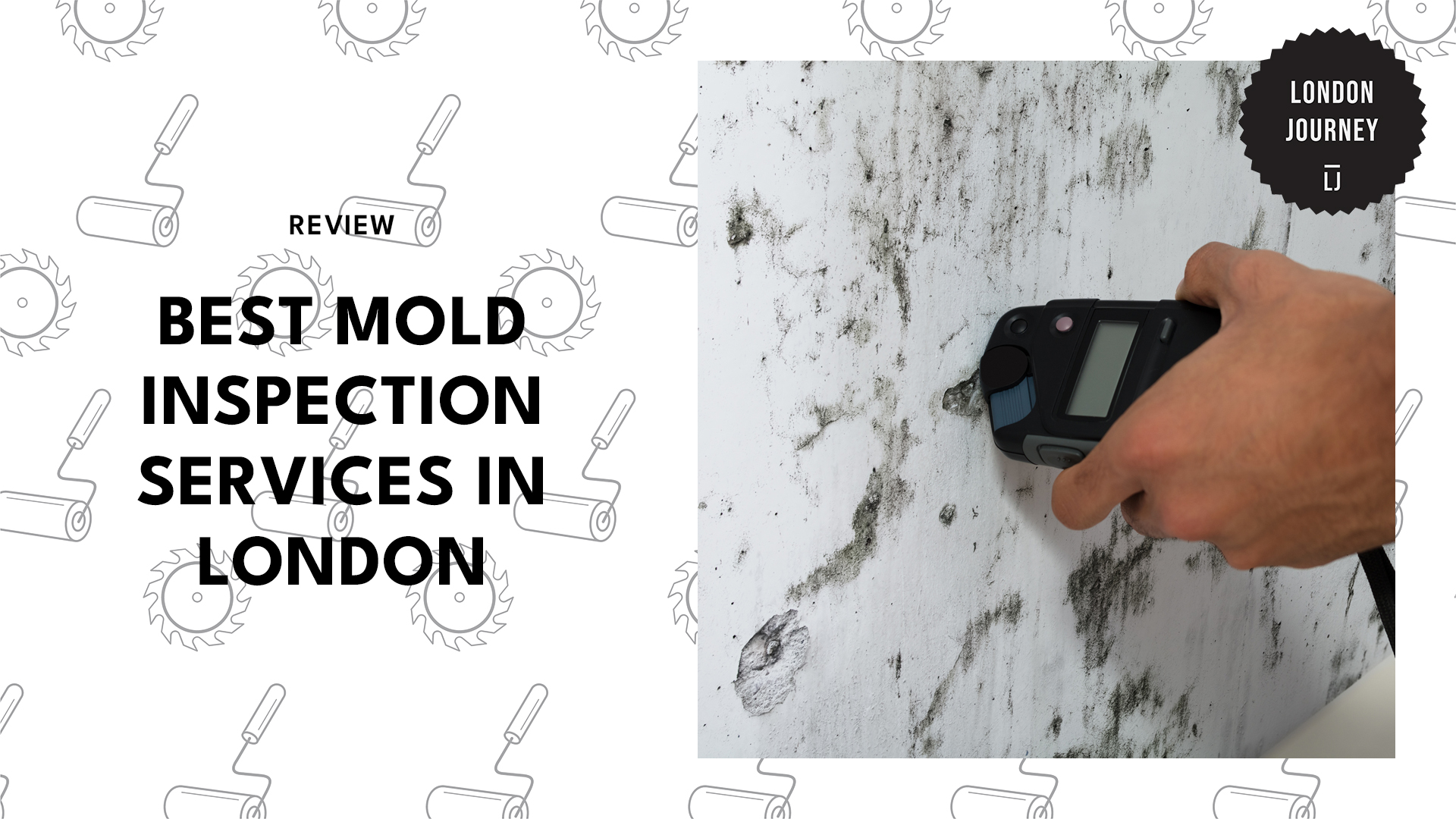 best-mold-inspection-london