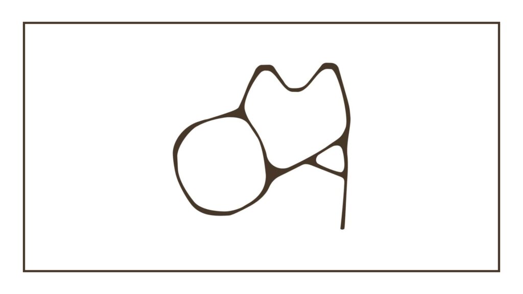 oma