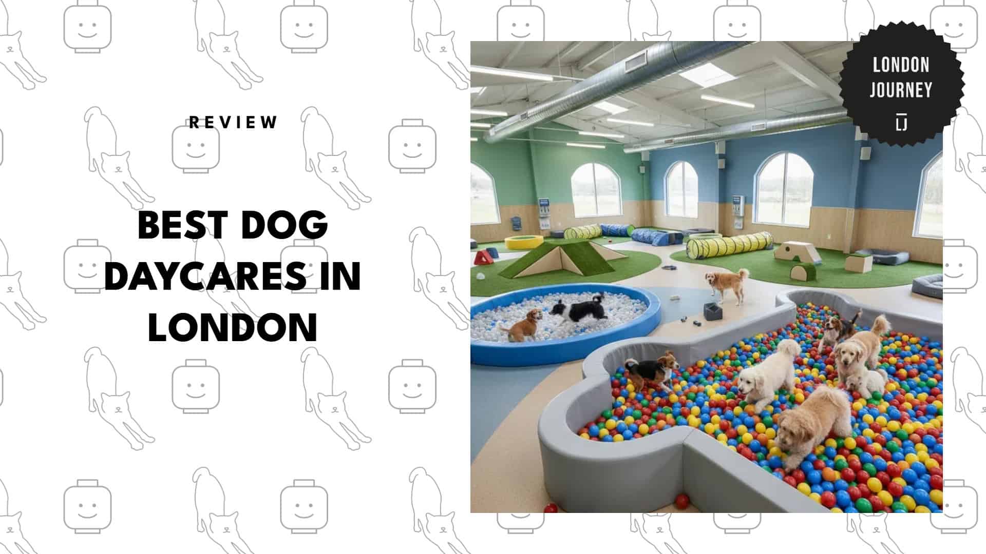 best-dog-daycares-london-banner