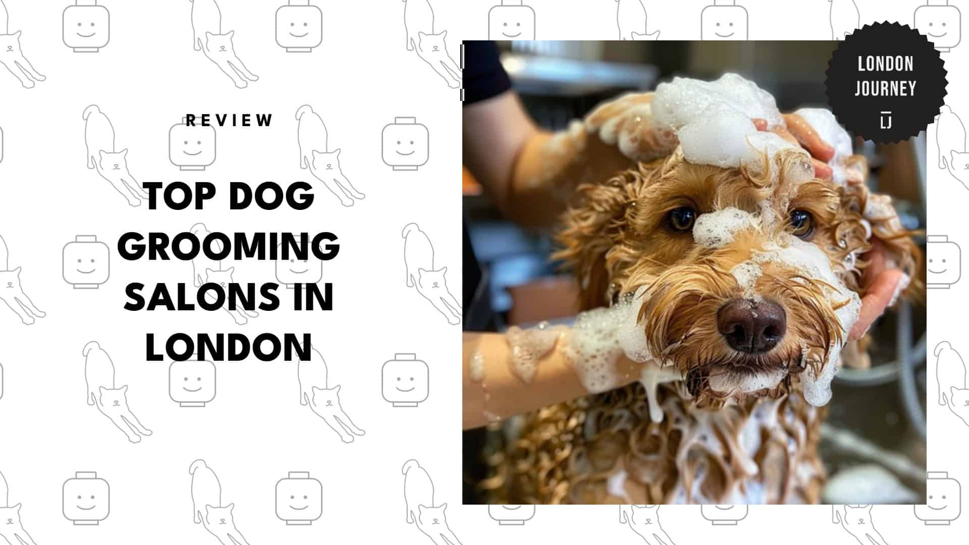 best-dog-grooming-london