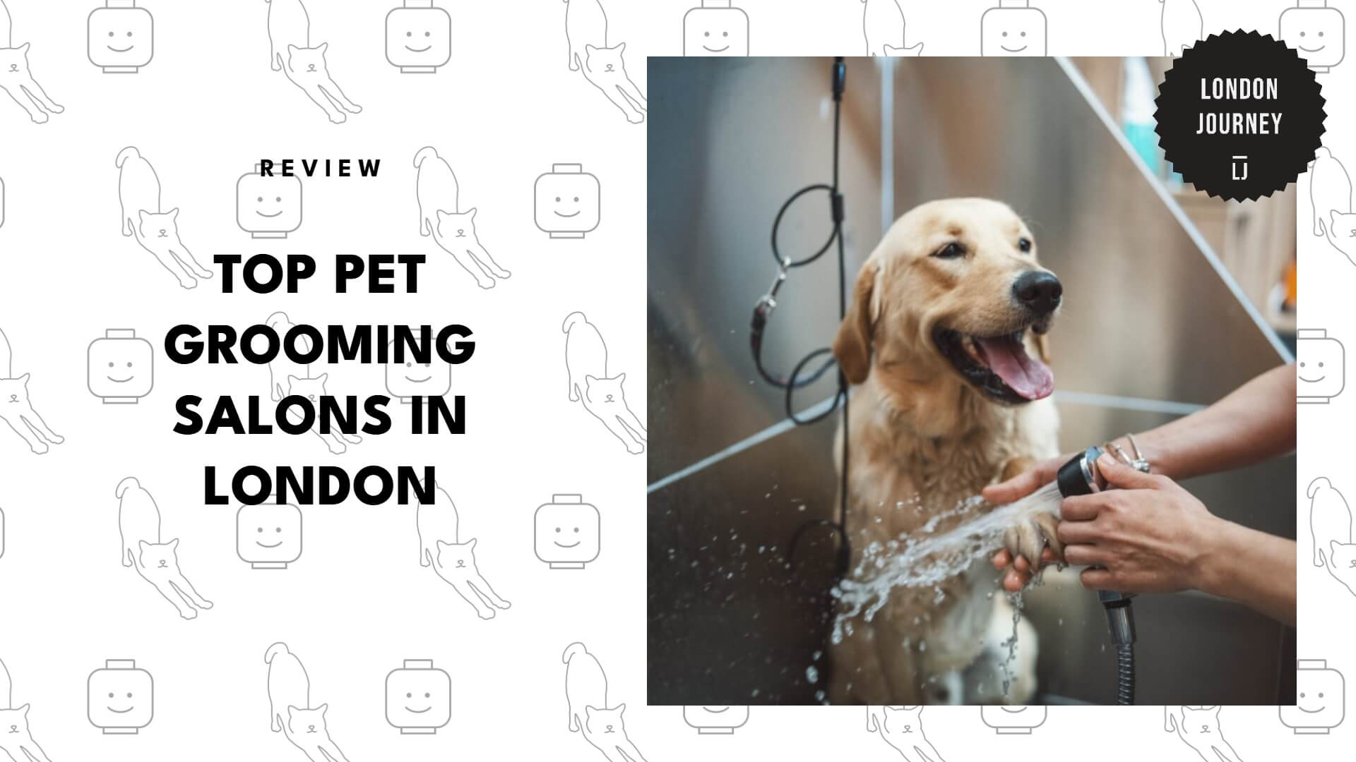 pet-grooming-shops-in-london