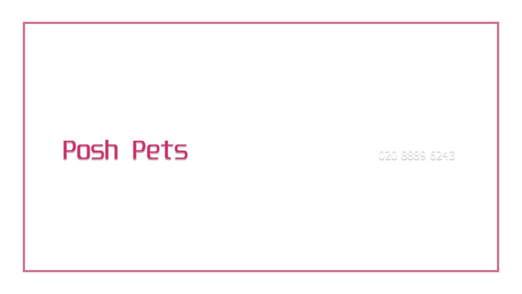 posh-pets