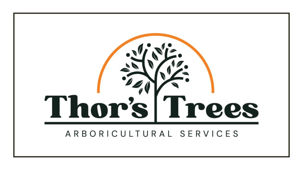 thors-trees-logo